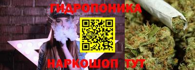 spice Апшеронск